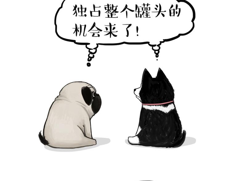 吾皇巴扎黑漫画,第139话 作者的死角2图