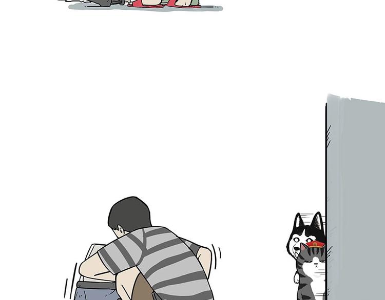 吾皇巴扎黑漫画,第173话 被抓到了吧~2图