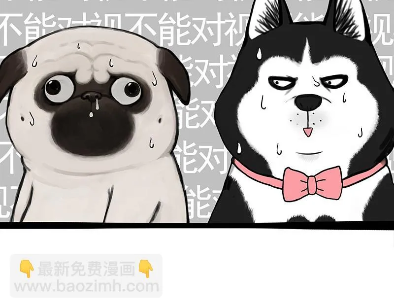 吾皇巴扎黑漫画,第375话 偶遇恶犬2图