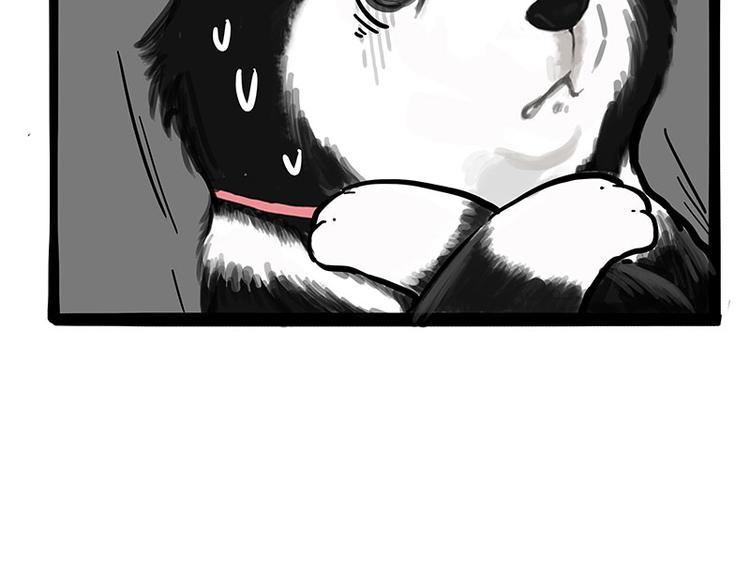 吾皇巴扎黑漫画,第231话 防骗指南1图