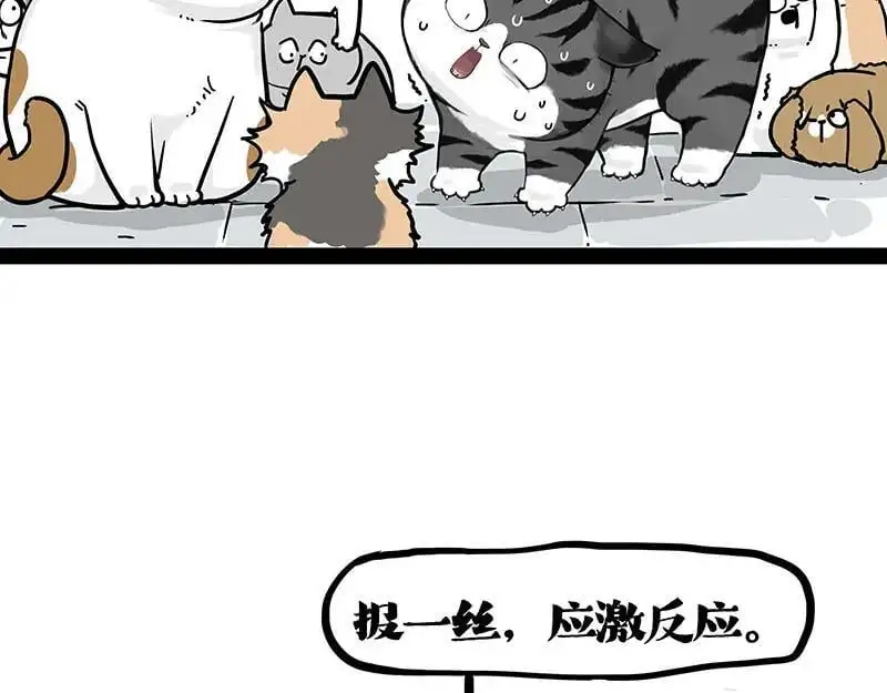 吾皇巴扎黑漫画,第404话 寻家计划1：啸天2图