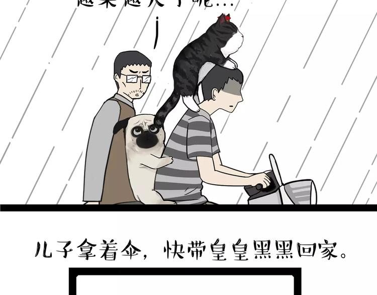 吾皇巴扎黑漫画,第89话 亲情1图