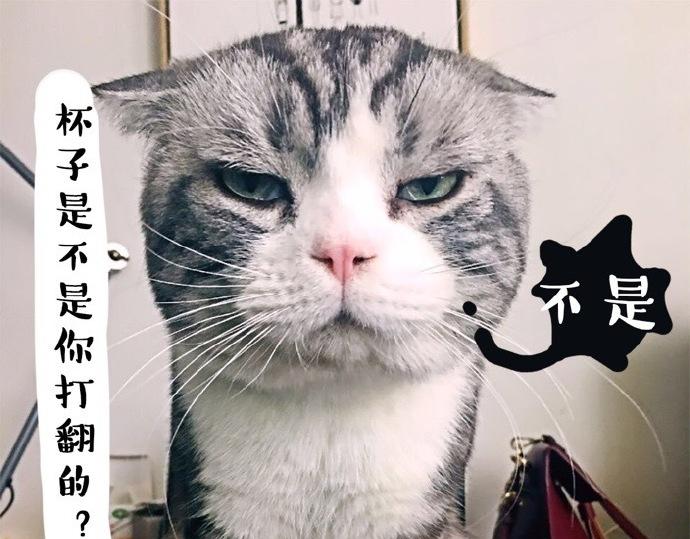 吾皇巴扎黑漫画,第26话 犯错你会卖萌求原谅吗2图