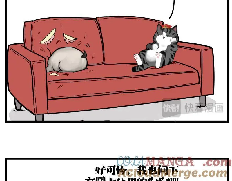 吾皇巴扎黑漫画,第423话 卡沙不拦卡1图