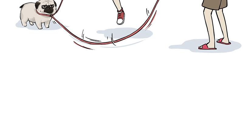 吾皇巴扎黑漫画,第309话 不妙小喵招1图