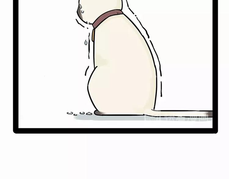 吾皇巴扎黑漫画,第171话 不许你走！2图