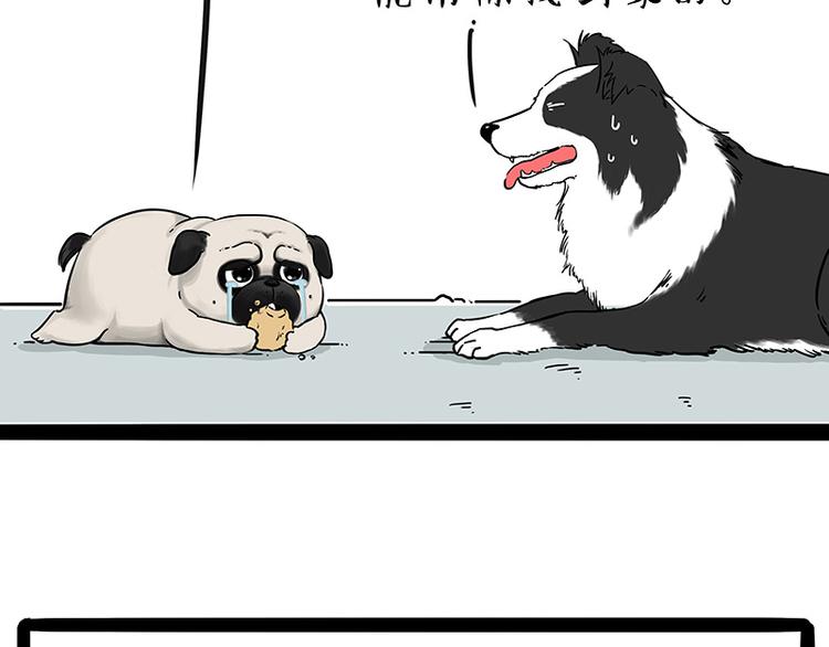 吾皇巴扎黑漫画,第207话 巴扎黑丢了？！1图