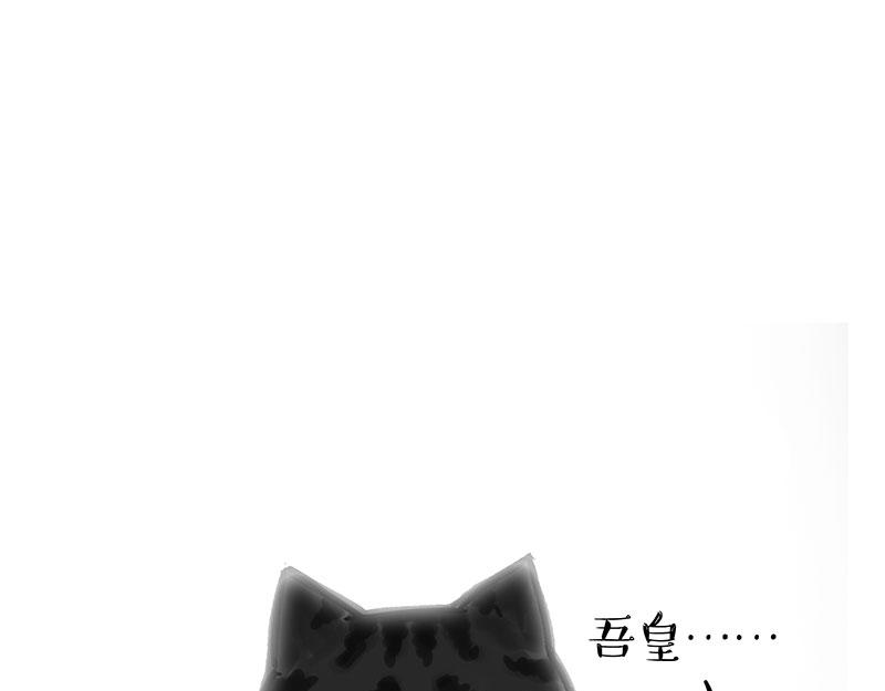 吾皇巴扎黑漫画,第349话 养只猫吧2图