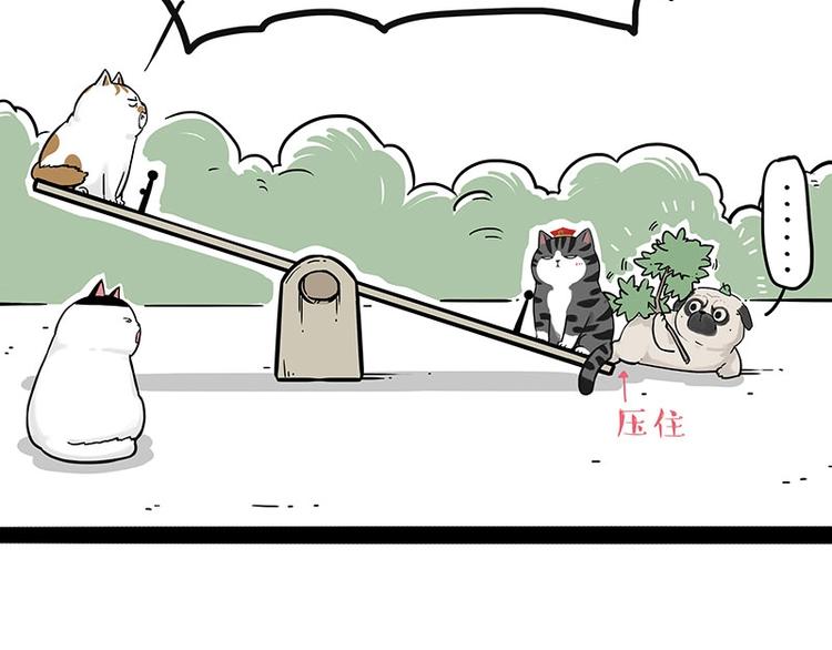 吾皇巴扎黑漫画,第189话 就你胖，还能浪2图