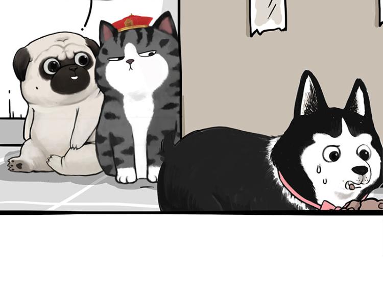 吾皇巴扎黑漫画,第288话 冒牌货，拿来吧你！2图