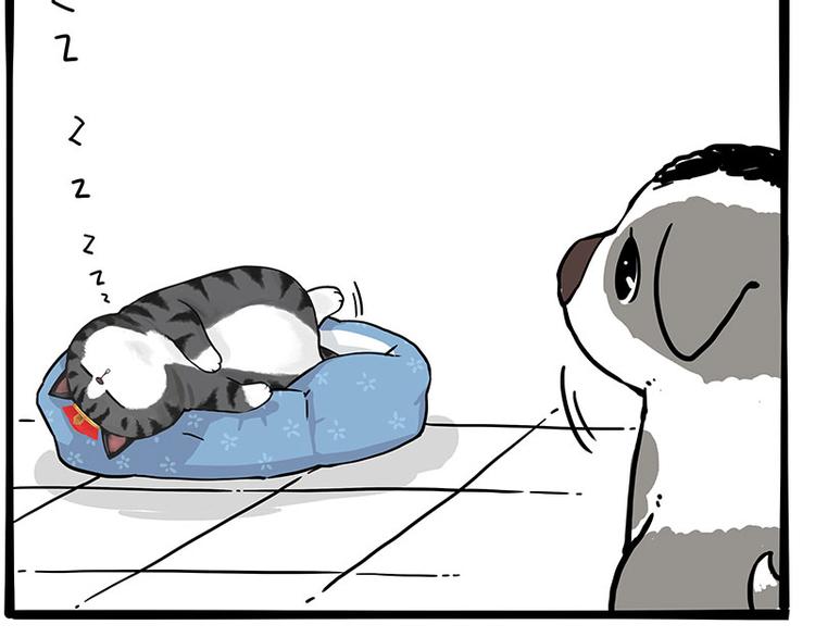 吾皇巴扎黑漫画,第270话 胖老猫你个大骗子！1图