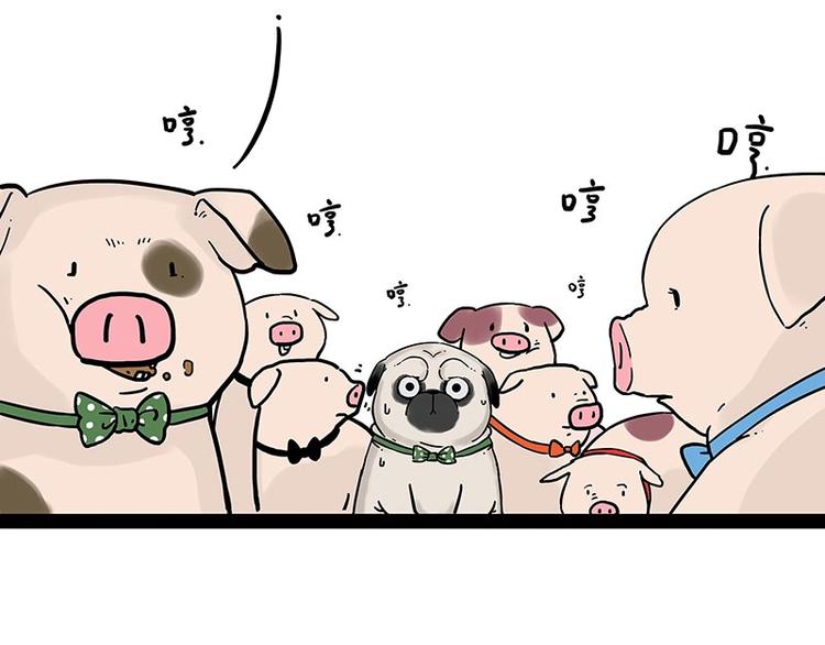 吾皇巴扎黑漫画,第194话 生活不易，猫狗打工1图