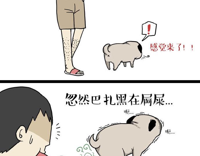 吾皇巴扎黑超话漫画,第29话 就算高考也要铲屎2图