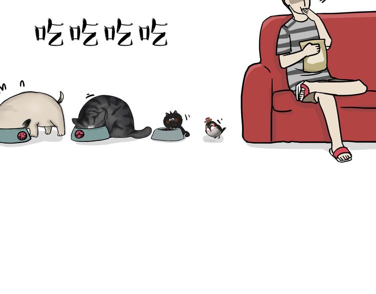 吾皇巴扎黑漫画,第59话 家里要断粮1图