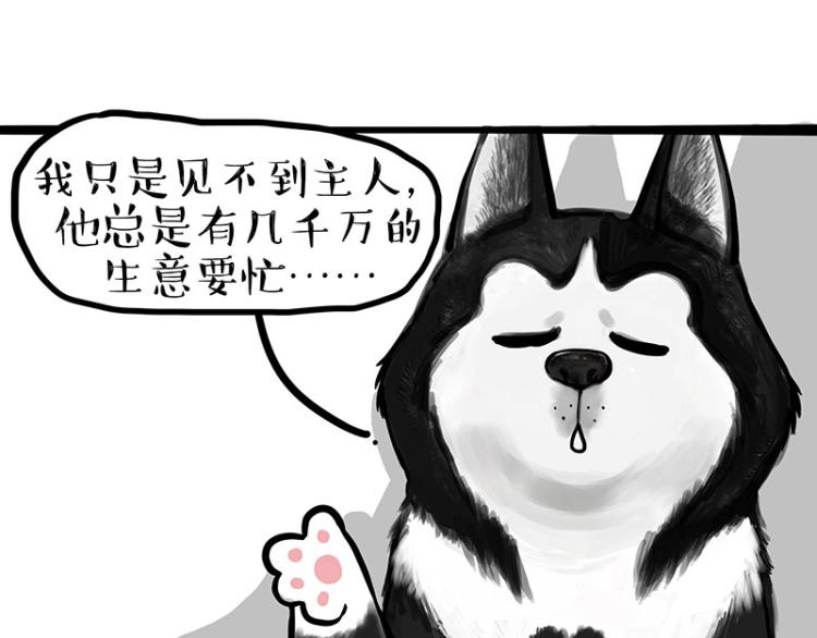 吾皇巴扎黑漫画,第289话 吹牛狗真牛2图