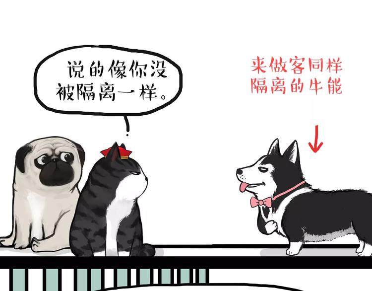 吾皇巴扎黑漫画,第93话 越狱2图