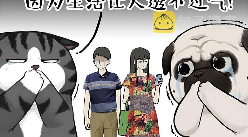 吾皇巴扎黑漫画,第351话 人间真实2图