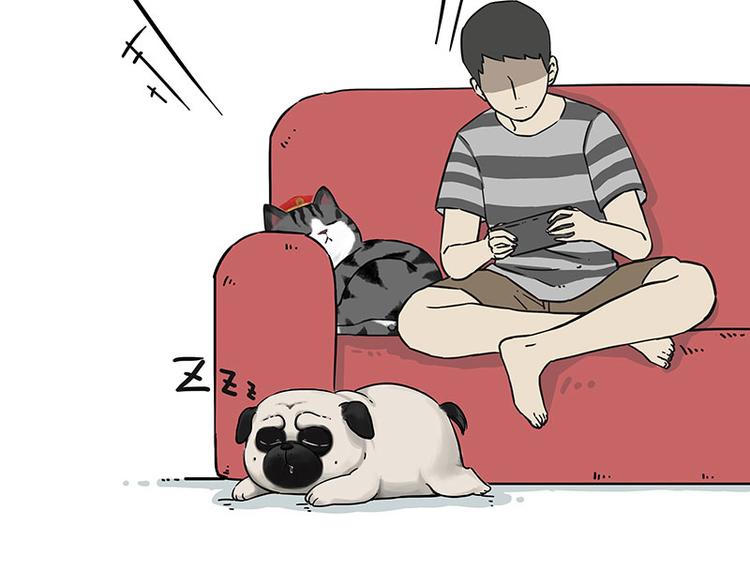 吾皇巴扎黑漫画,第210话 巴扎黑是最委屈的狗1图