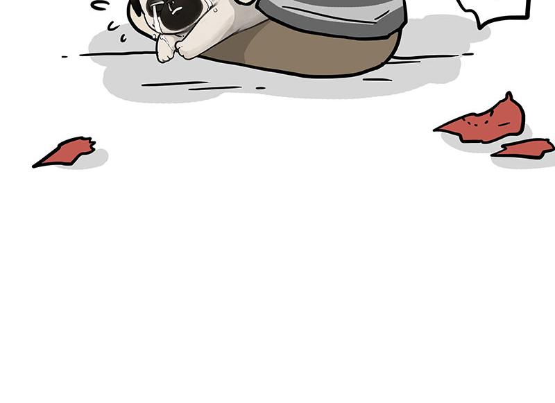 吾皇巴扎黑漫画,第344话 人生止痛剂2图