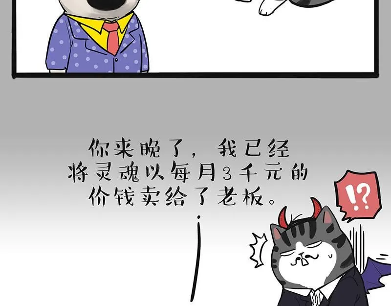 吾皇巴扎黑漫画全集漫画,第384话 猫猫代打1图