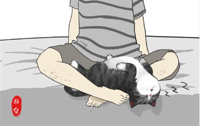 吾皇巴扎黑漫画,第6话 喵的睡姿就是如此奔放1图