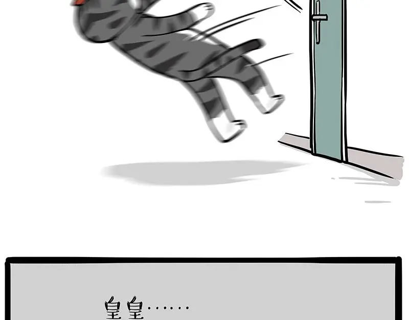吾皇巴扎黑漫画,第325话 你不守猫德2图