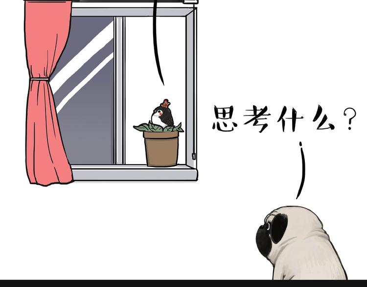 吾皇巴扎黑漫画,第157话 一颗蛋蛋2图