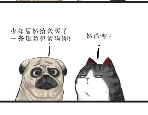 吾皇巴扎黑漫画,第20话 蜜汁少年！2图