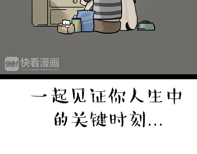 吾皇巴扎黑漫画,第52话 宠物的使命2图