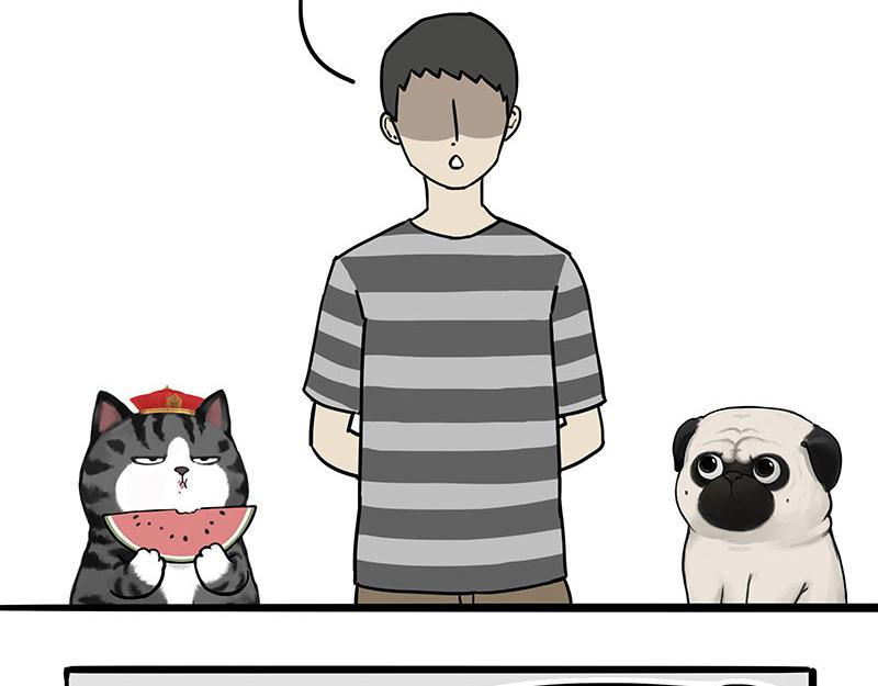 吾皇巴扎黑漫画,第307话 面相大解析2图