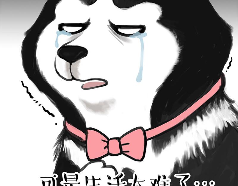 吾皇巴扎黑漫画,第358话 都是错觉1图