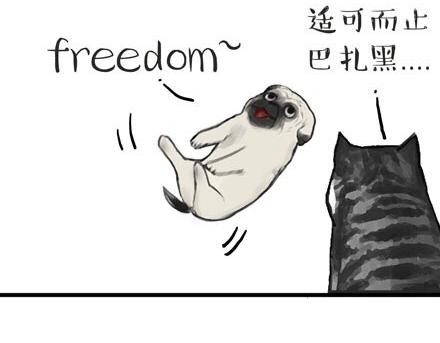 吾皇巴扎黑漫画,第23话 这是巴扎黑的专场！2图