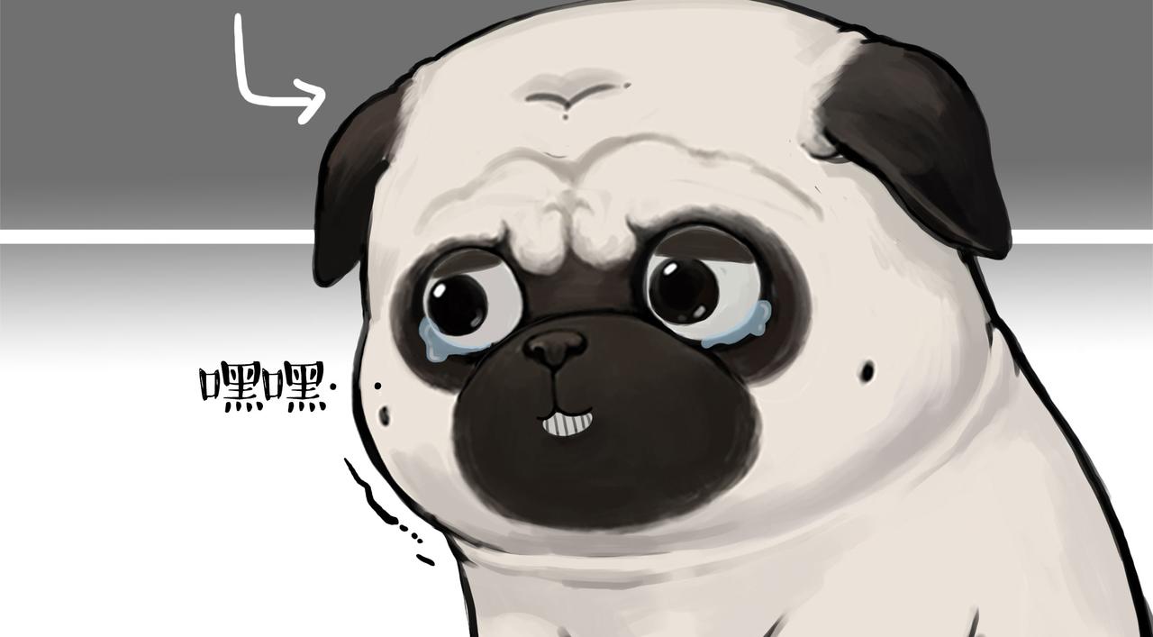 吾皇巴扎黑漫画,第356话 “吾没有错”1图