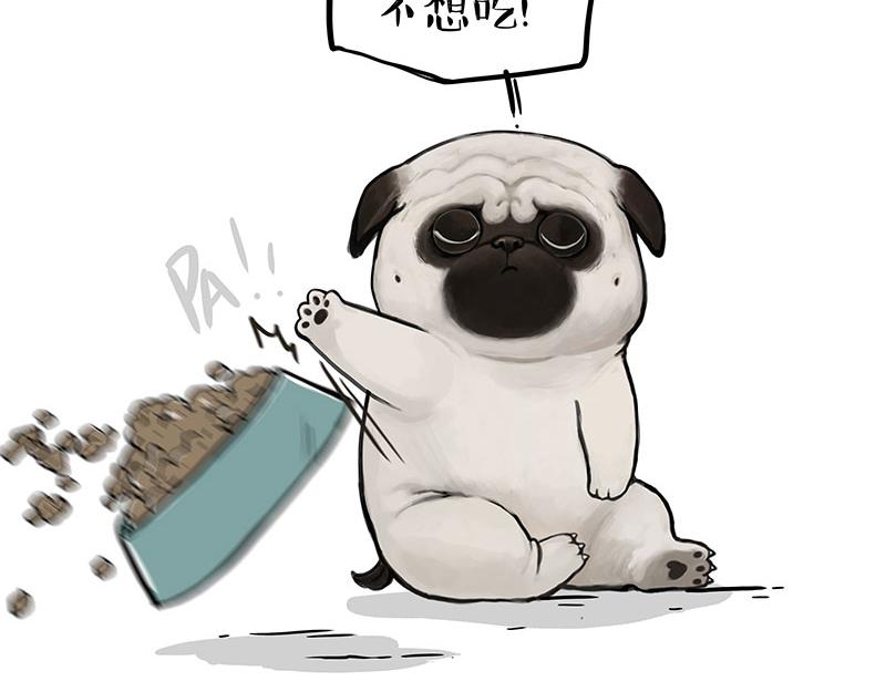 吾皇巴扎黑漫画,第357话 巴扎黑的智慧2图