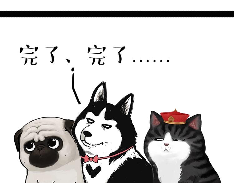 吾皇巴扎黑超话漫画,第162话 喵星人选美大赛1图