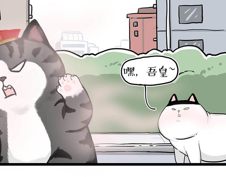 吾皇巴扎黑漫画,第284话 美喵竟是我自己2图
