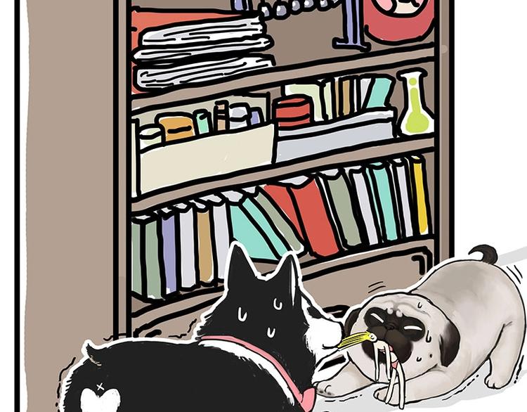 吾皇巴扎黑漫画,第160话 最差的一届哈士奇！1图