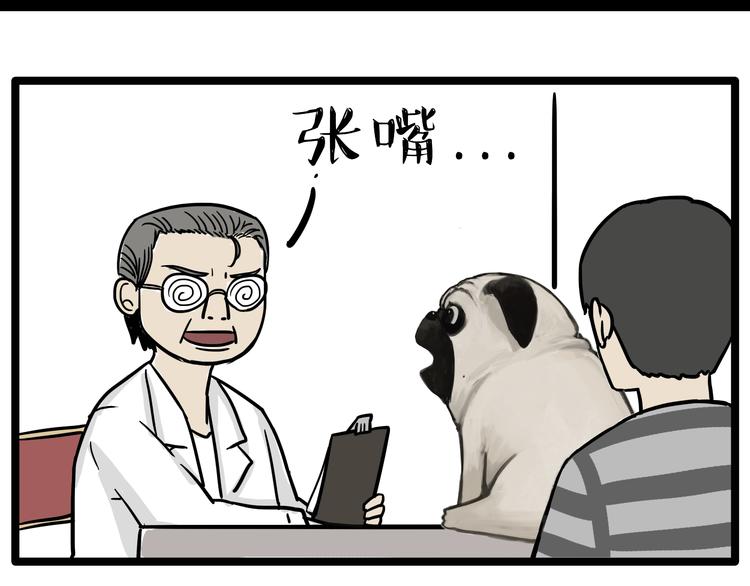 吾皇巴扎黑漫画,第78话 带宠物看病（上）2图