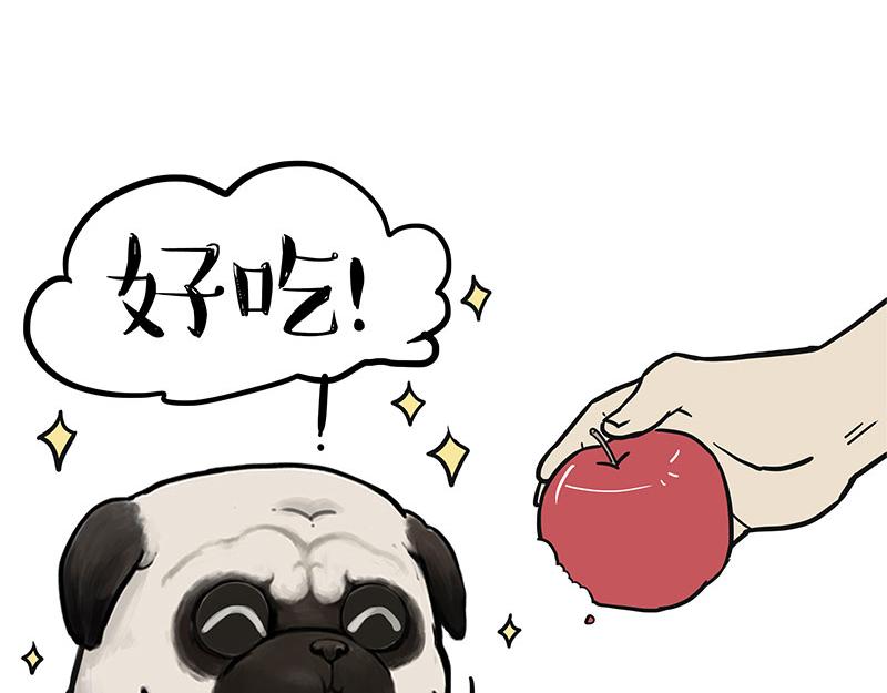 吾皇巴扎黑漫画,第394话 养狗指南2图