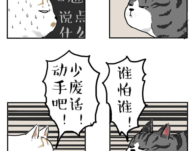 吾皇巴扎黑漫画,第291话 好兄弟，一辈子1图