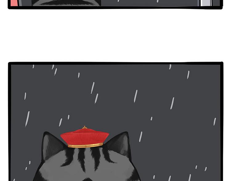 吾皇巴扎黑漫画,第265话 雨夜“惊魂”1图