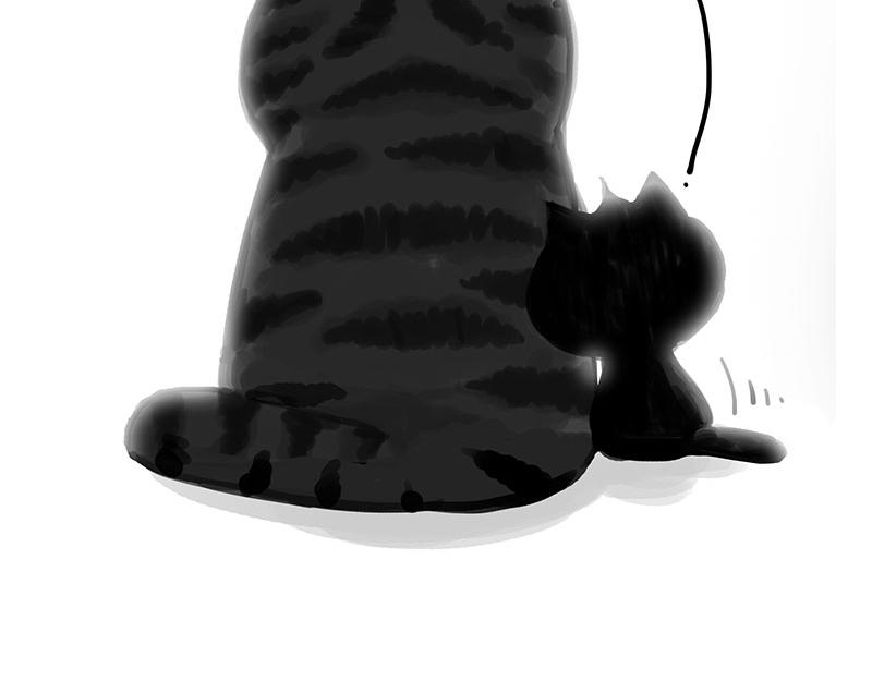 吾皇巴扎黑漫画,第349话 养只猫吧1图