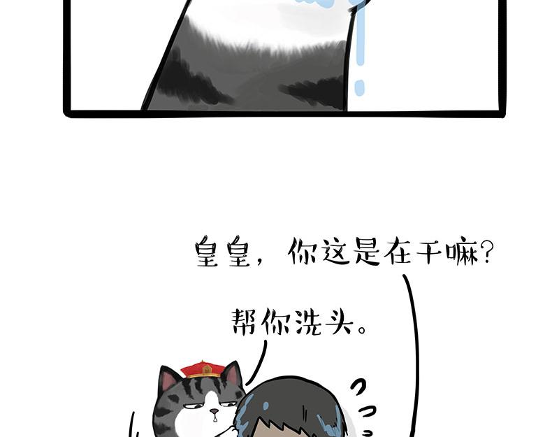 吾皇巴扎黑漫画,第310话 黑里寻黑1图