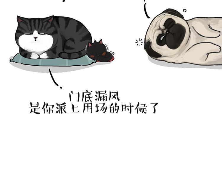 吾皇巴扎黑漫画,第51话 猫和狗的待遇就是不同1图