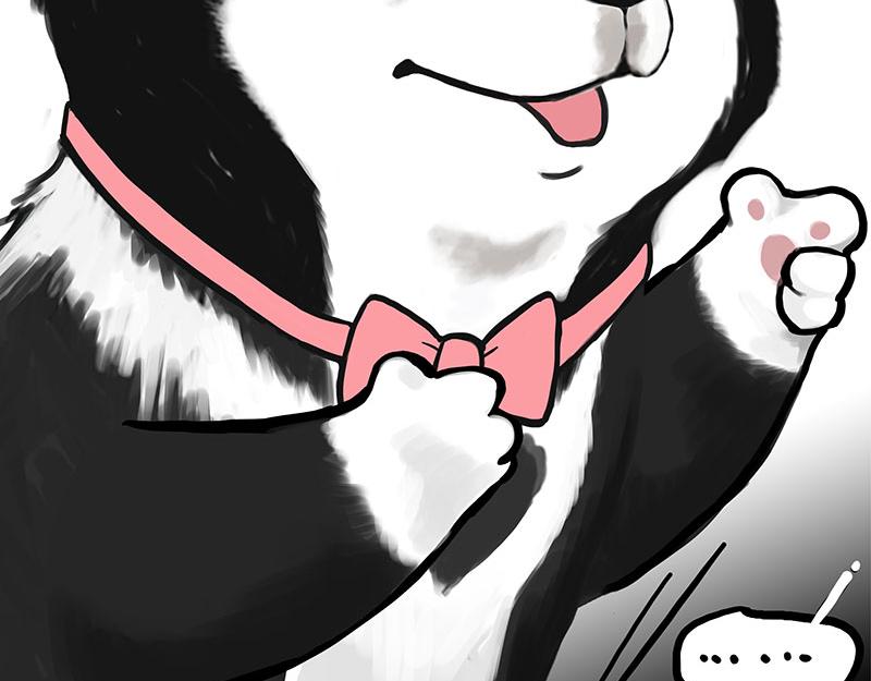 吾皇巴扎黑漫画,第349话 养只猫吧2图