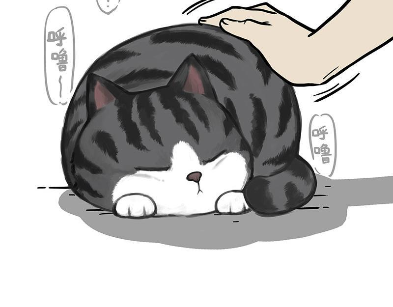 吾皇巴扎黑漫画,第369话 老天爷的答案1图