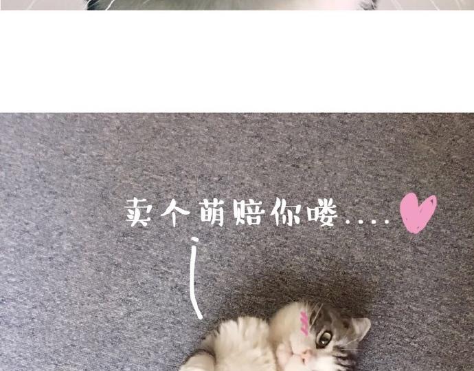 吾皇巴扎黑漫画,第26话 犯错你会卖萌求原谅吗1图