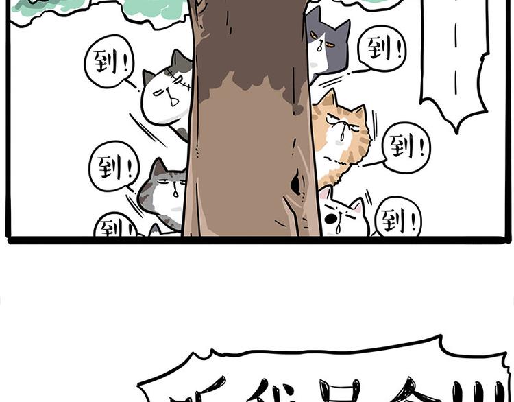 吾皇巴扎黑漫画,第271话 进击的流浪猫！1图