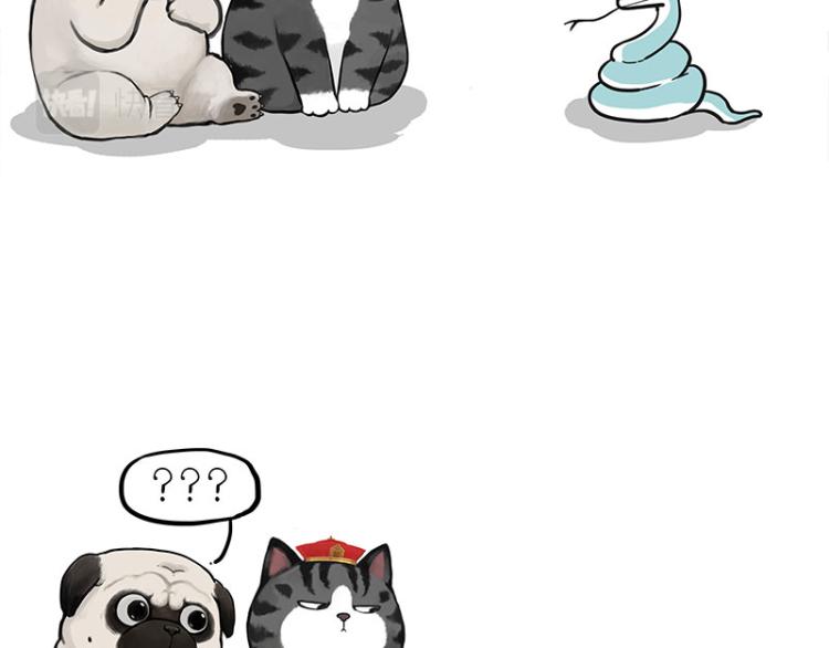 吾皇巴扎黑漫画,第286话 动物世界2图
