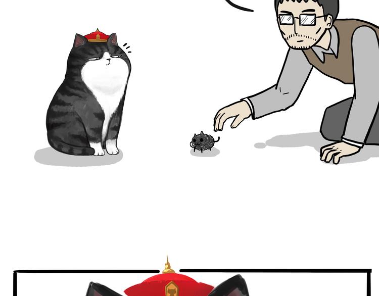 吾皇巴扎黑漫画,第74话 猫主子送的也敢扔1图